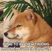 Duc Anh