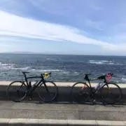 ミリセナの画像