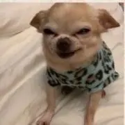 中村