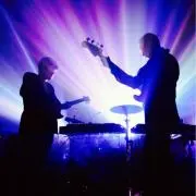 bonobo
