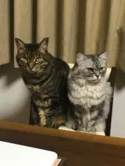 Unnyaの画像