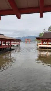 あらくーの画像