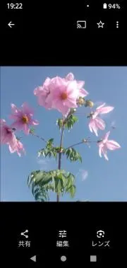 ☆Rの画像