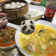 ぷりんちゃんの画像