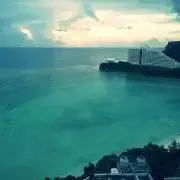 beeee太郎の画像