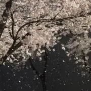 하の画像