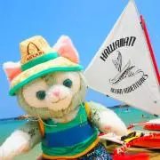 ymの画像