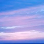 Cherryの画像