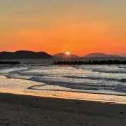 こばの画像