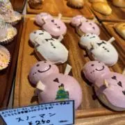 わぃの画像
