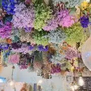 りんりんの画像