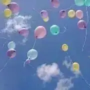 【断捨離中、即購入歓迎】すみれ