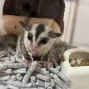 みさ