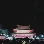 うさの画像