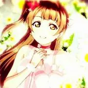 (⌒▽⌒)
