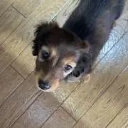 なお