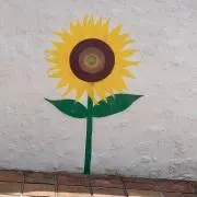 めぐ