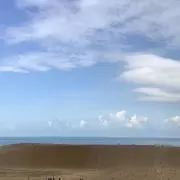 山本こうた