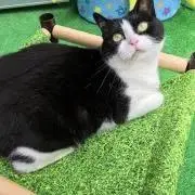 くうママ　空天☆monecoの画像