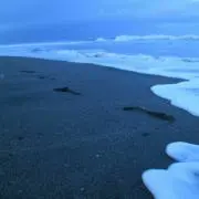 ガジラ