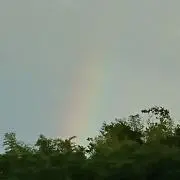 苺