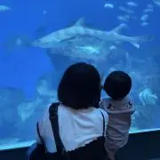 みっきっき《プロフ必読》の画像