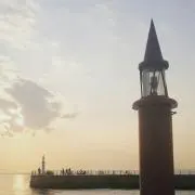 のりの画像
