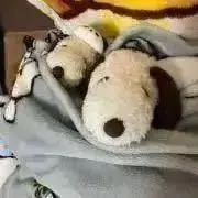emi emiの画像