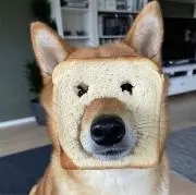 だんご