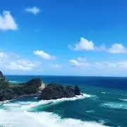 ぱんちの画像