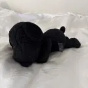 ゆうこりんの画像