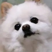 あおの＊プロフ一読お願いしますの画像
