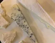 CATの画像