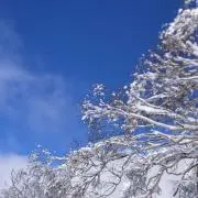 みあの画像