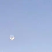 ぷぴ
