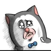 猫の下僕