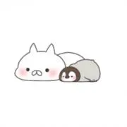 ゆっこんの画像