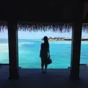 ふのま