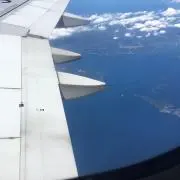 金太郎