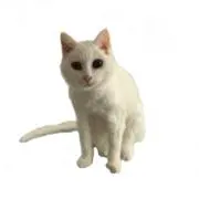 tenの画像