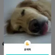 らうの画像