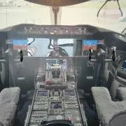 若ゲ