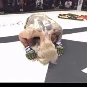 藤田の画像
