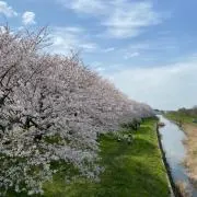 risaの画像