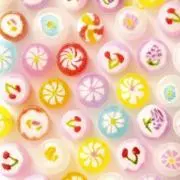 りんごの樹の画像