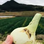 なな