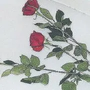 ろずたんの画像