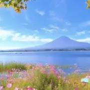 断捨離cici349(24時間內発送)の画像