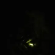 かー