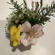 ゆにこの画像